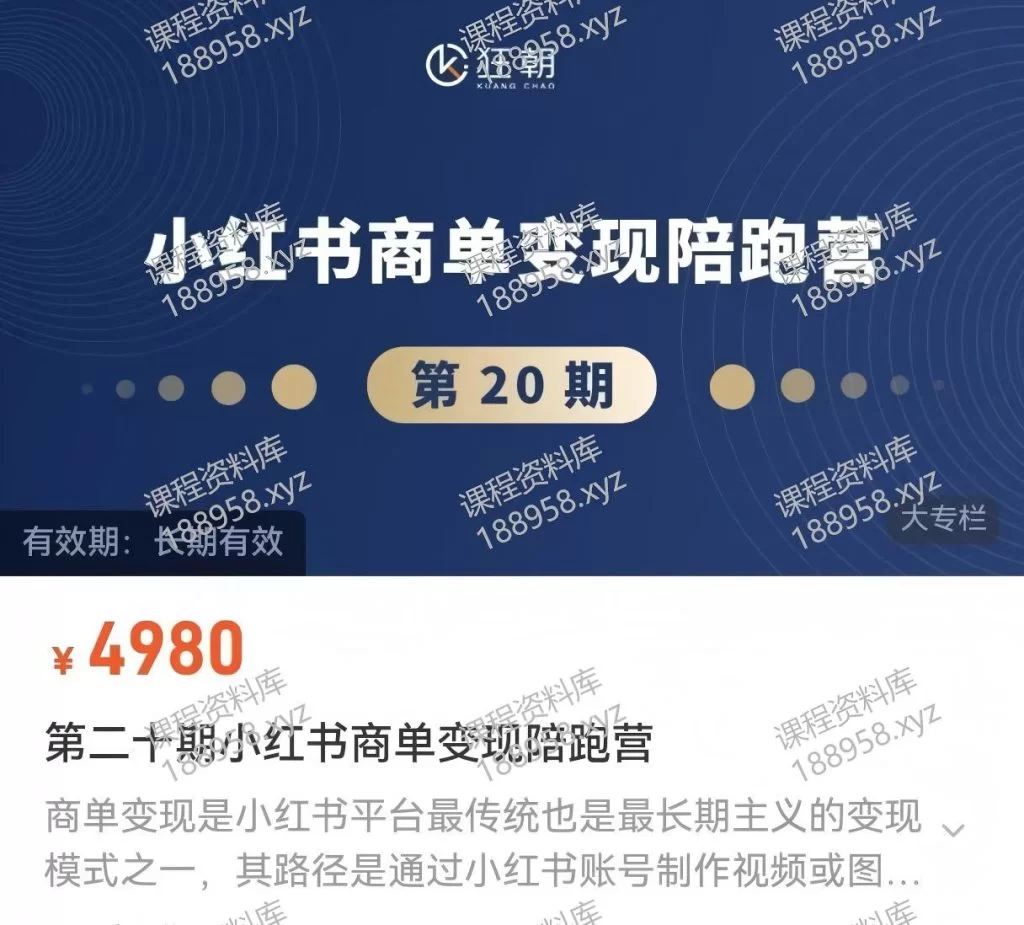 小红书商单变现陪跑营（第20期）-在野 课程封面